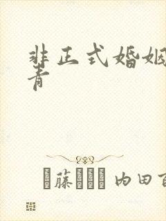 非正式婚姻雾里青