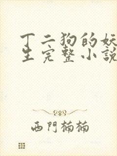 丁二狗的妖孽人生完整小说笔