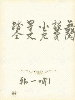 踏星小说无弹窗全文免费阅读