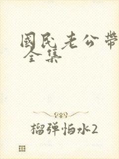 国民老公带回家 全集