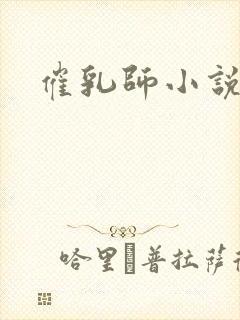 催乳师小说