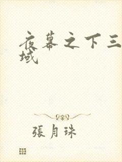 夜幕之下三九音域封面