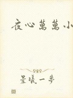 夜心万万小说