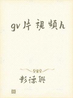 gv片视频h