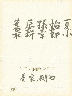 叶辰孙怡夏若雪最新章节小说心封面