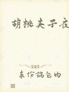 胡桃夹子夜未眠封面