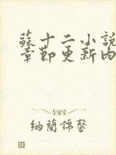 苏十二小说最新章节更新内容