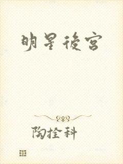 明星后宫