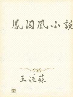 凤囚凰小说封面