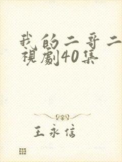 我的二哥二嫂电视剧40集
