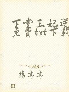 下堂王妃逆袭记免费txt下载