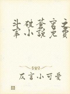 斗破苍穹之大主宰小说免费阅读全文封面