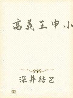 高义王申小说