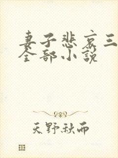 妻子悲哀三部曲全部小说封面