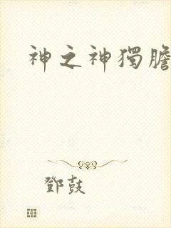 神之神独胆王封面