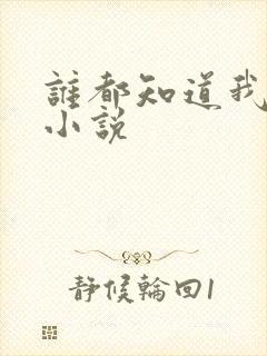 谁都知道我爱你小说