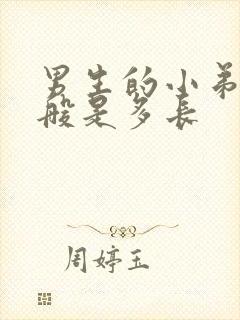 男生的小弟弟一般是多长