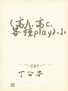 (高h,高c,各种play)小说封面