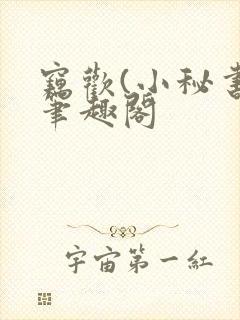 窃欢(小秘书)笔趣阁封面