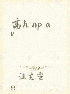 高h np av