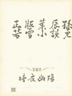 正版叶辰孙怡夏若雪小说免费阅读