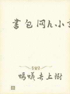 书包网h小说