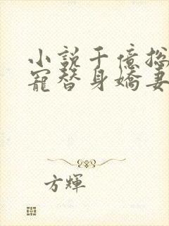 小说千亿总裁独宠替身娇妻小说