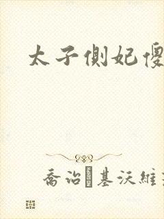 太子侧妃傻乎乎