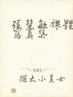 张慧敏裸体绝版写真集封面