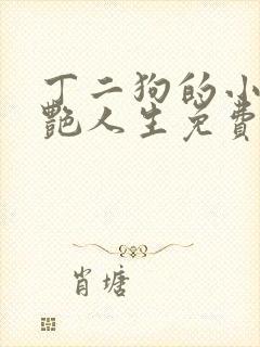 丁二狗的小说猎艳人生免费阅读全文