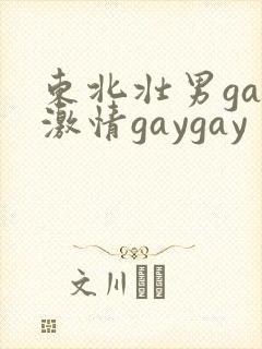 东北壮男gay激情gaygay