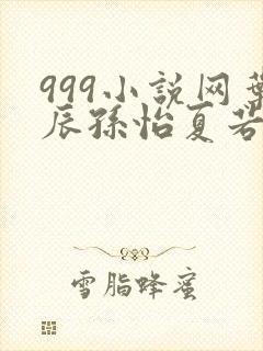 999小说网叶辰孙怡夏若雪