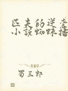 匹夫的逆袭有声小说蜘蛛播音