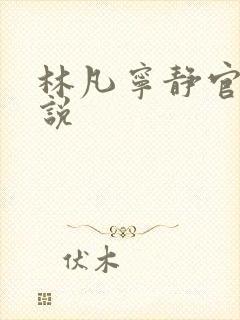 林凡宁静官场小说