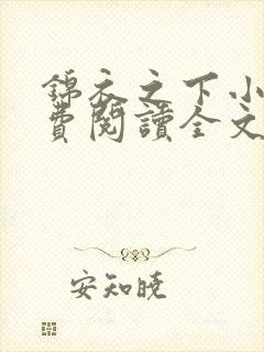 锦衣之下小说免费阅读全文无删减