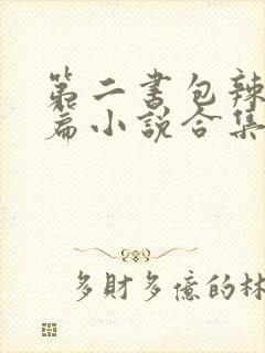 第二书包辣网短篇小说合集