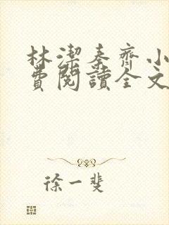 林洁秦齐小说免费阅读全文最新章节