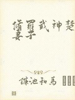 修罗武神楚枫的妻子封面