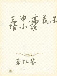 王申,高义,孙倩小说