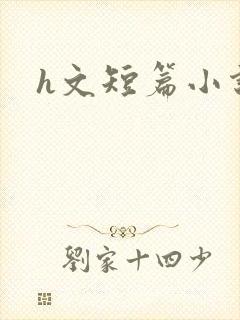 h文短篇小说封面