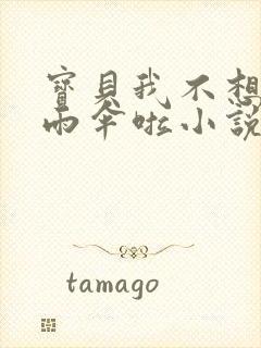 宝贝我不想带小雨伞啦小说