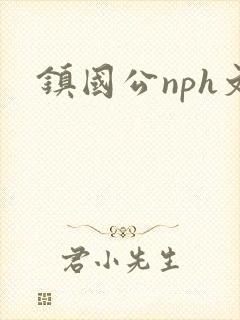 镇国公nph文