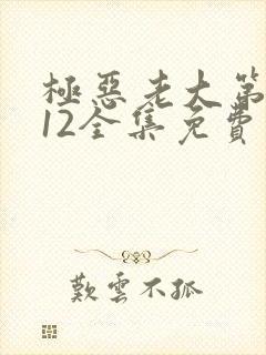 极恶老大第二季12全集免费播放封面