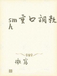sm重口调教高h