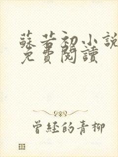 苏若初小说全文免费阅读