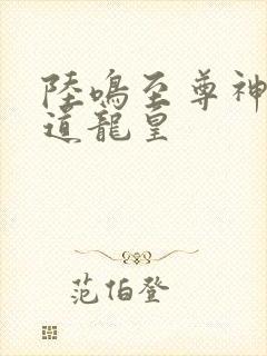 陆鸣至尊神殿万道龙皇