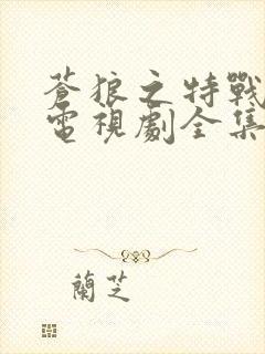 苍狼之特战突击电视剧全集免费播放