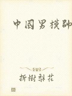中国男模帅哥大