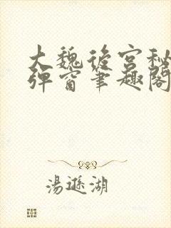 大魏后宫秘史无弹窗笔趣阁封面