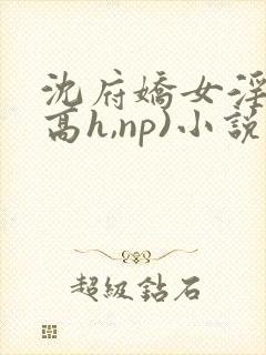 沈府娇女淫史(高h,np)小说封面